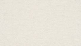 גליל טפט ראש 449808