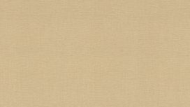 גליל טפט ראש 531367