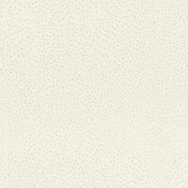 גליל טפט ראש 751536