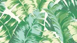 גליל טפט ראש 535648