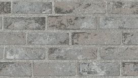 גליל טפט ראש 408010