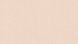 גליל טפט ראש 537147