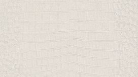 גליל טפט ראש 474169