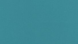 גליל טפט ראש 537925