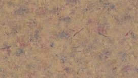 גליל טפט ראש 649710