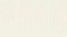 גליל טפט ראש 537116