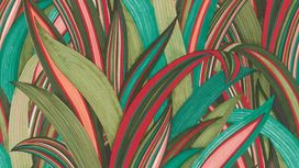 גליל טפט ראש 541267