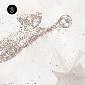 טפט כדורגל קיפר 2