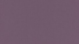 גליל טפט ראש 423976