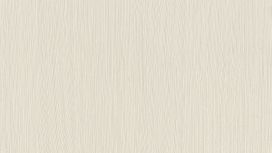 גליל טפט ראש 834444