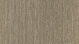 גליל טפט ראש 806564