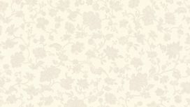 גליל טפט ראש 532418