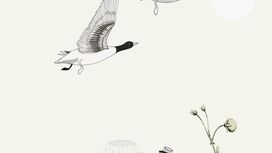 טפט תמונה 532005