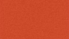 גליל טפט ראש 448573