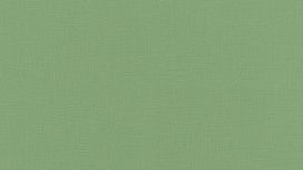 גליל טפט ראש 537918