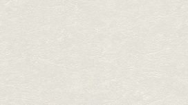 גליל טפט ראש 615548