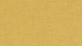 גליל טפט ראש 489910