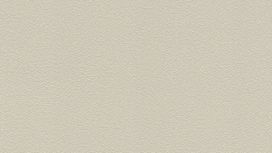 גליל טפט ראש 474916