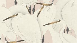 גליל טפט ראש 409536