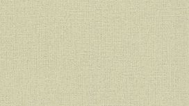 גליל טפט ראש 639667