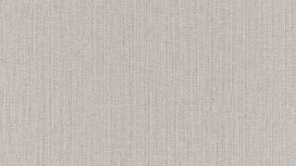 גליל טפט ראש 407969