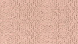 גליל טפט ראש 550344