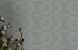 טפט תחרה כסוף כהה