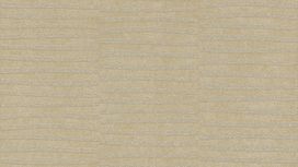 גליל טפט ראש 542042