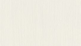 גליל טפט ראש 834314