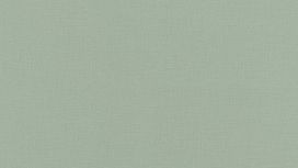 גליל טפט ראש 537901