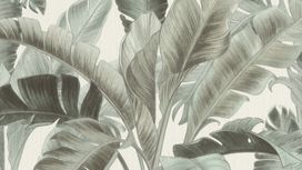 גליל טפט ראש 536676