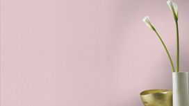 גליל טפט ראש 448528