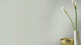 גליל טפט ראש 424089