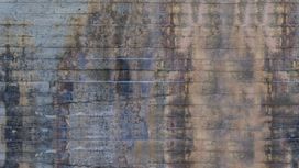 טפט תמונה 100389