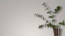 גליל טפט ראש 415346