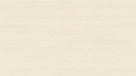 גליל טפט ראש 532517