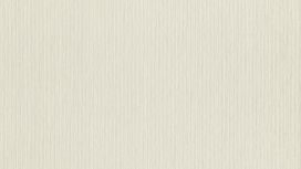 גליל טפט ראש 806502