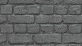 גליל טפט ראש 226744