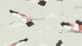 גליל טפט ראש 818116