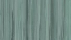 גליל טפט ראש 425734