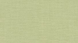 גליל טפט ראש 700466