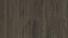 גליל טפט ראש 528442