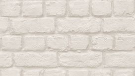 גליל טפט ראש 226706