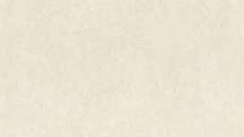 גליל טפט ראש 617139