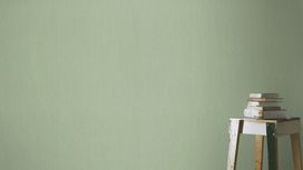 גליל טפט ראש 536133