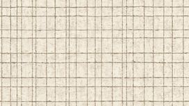 גליל טפט ראש 551310