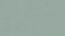 גליל טפט ראש 606348