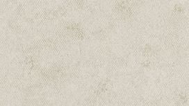 גליל טפט ראש 550641