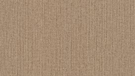 גליל טפט ראש 407914