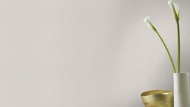 גליל טפט ראש 247411